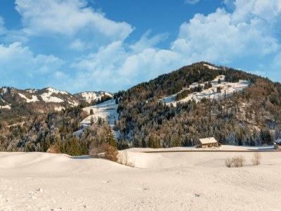 Apartment Dog-friendly holiday apartment in Bregenzerwald - Environment photo 20