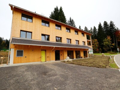Apartment Hundefreundliche Ferienwohnung im Bregenzerwald in Hittisau - Apartment