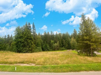 Apartment Hundefreundliche Ferienwohnung im Bregenzerwald - Environment photo 23