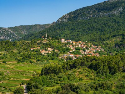 Holiday house Ruhiger Rückzugsort mit Meerblick auf Insel Hvar - Environment photo 79