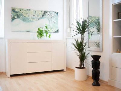 Apartment Peaceful Holiday Home near Krka - Features photo 13