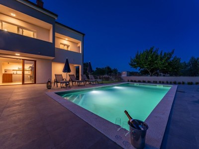 Holiday house Villa with Pool and Sauna in Galovac - Outdoor photo 19