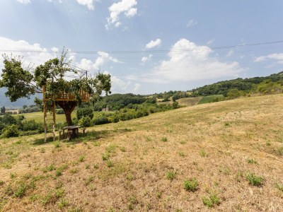 Holiday house Holiday Home in Assisi with Pool & Nature - Environment photo 32