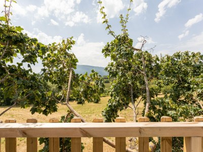 Holiday house Holiday Home in Assisi with Pool & Nature - Outdoor photo 36