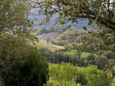 Villa Majestic Villa Retreat - Environment photo 21