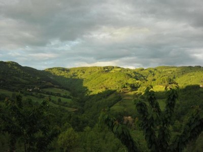 Villa Majestic Villa Retreat - Environment photo 22