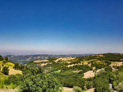 Villa Majestic Villa Retreat - Environment photo 23