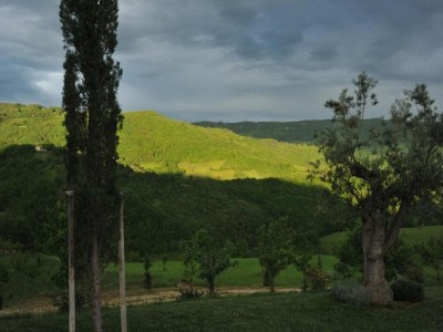 Villa Majestic Villa Retreat - Environment photo 24