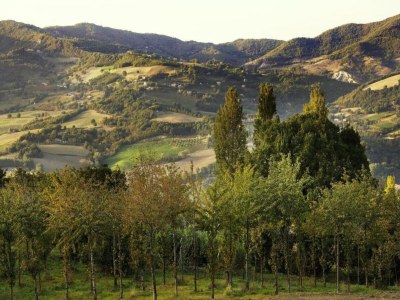 Villa Majestic Villa Retreat - Environment photo 26