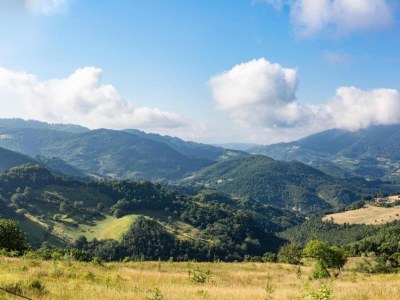 Villa Majestic Villa Retreat - Environment photo 30