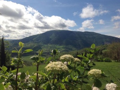 Villa Majestic Villa Retreat - Environment photo 31