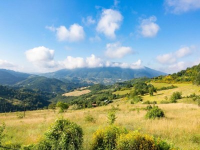 Villa Majestic Villa Retreat - Environment photo 32