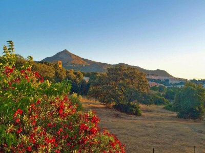 Holiday park Apartment near Sandy Beaches - Environment photo 27