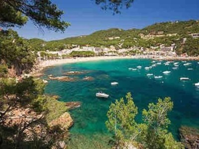 Apartment Apartment in Costa Brava near the Beach - Environment photo 24