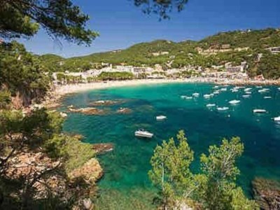 Apartment Apartment in Costa Brava near the Beach - Environment photo 49