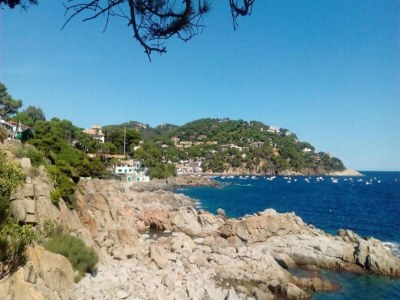 Apartment Apartment in Costa Brava near the Beach - Environment photo 52