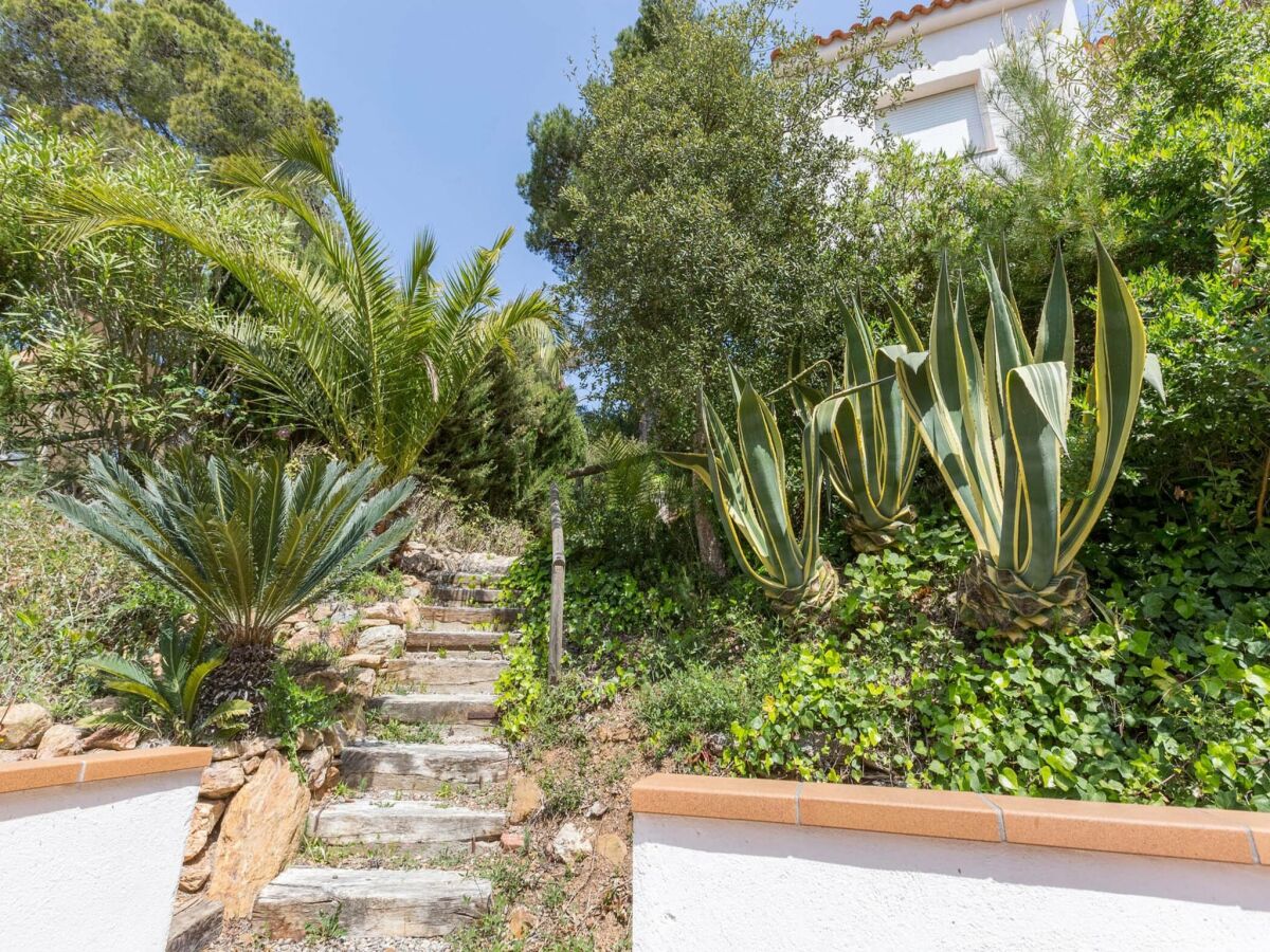 Villa 3-Schlafzimmer-Villa in Tamariu - Outdoor photo 3