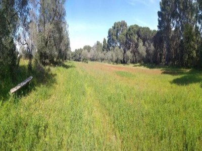 Apartment Apartment in Pals near Peaceful Beach - Environment photo 22