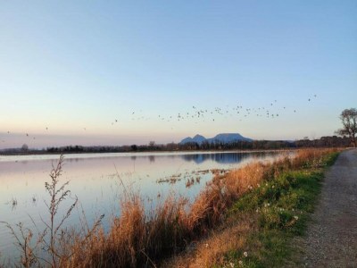 Apartment Apartment in Pals near Peaceful Beach - Environment photo 23