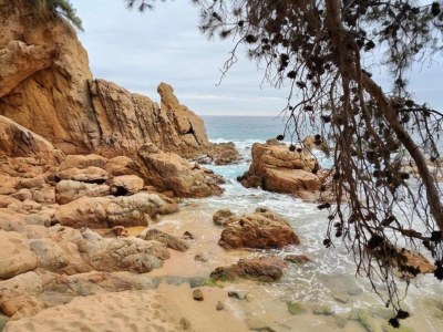 Villa Villa in Blanes mit privatem Pool - Environment photo 28