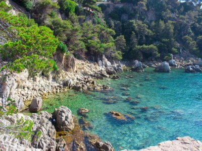 Villa Villa in Costa Brava with Sea View & Pool - Environment photo 36