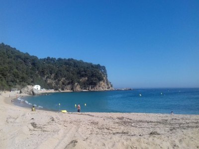 Villa Villa on Costa Brava near Cala Canyelles Beach - Environment photo 37