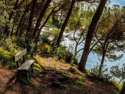 Villa Villa an der Costa Brava mit Meerblick & Pool - Environment photo 33