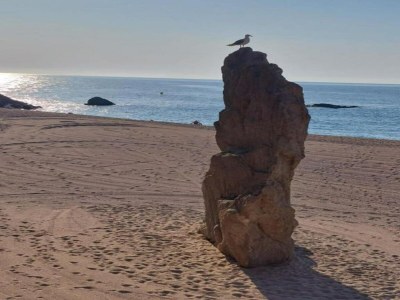 Villa Villa in Lloret de Mar with Private Pool - Environment photo 21