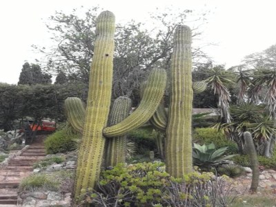 Villa Villa in Lloret de Mar with Private Pool - Environment photo 38