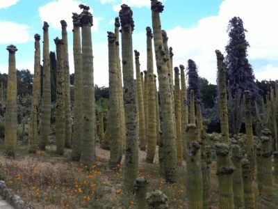 Villa Villa in Lloret de Mar mit privatem Pool - Environment photo 33
