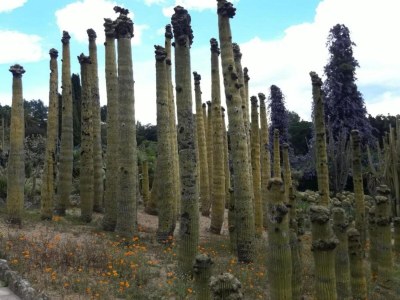 Villa Villa in Strandnähe in Lloret de Mar - Environment photo 23