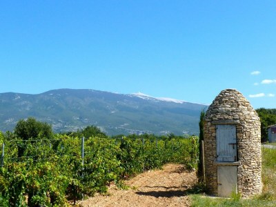 Holiday house Schönes, geräumiges Ferienhaus mit privatem Pool - Environment photo 25