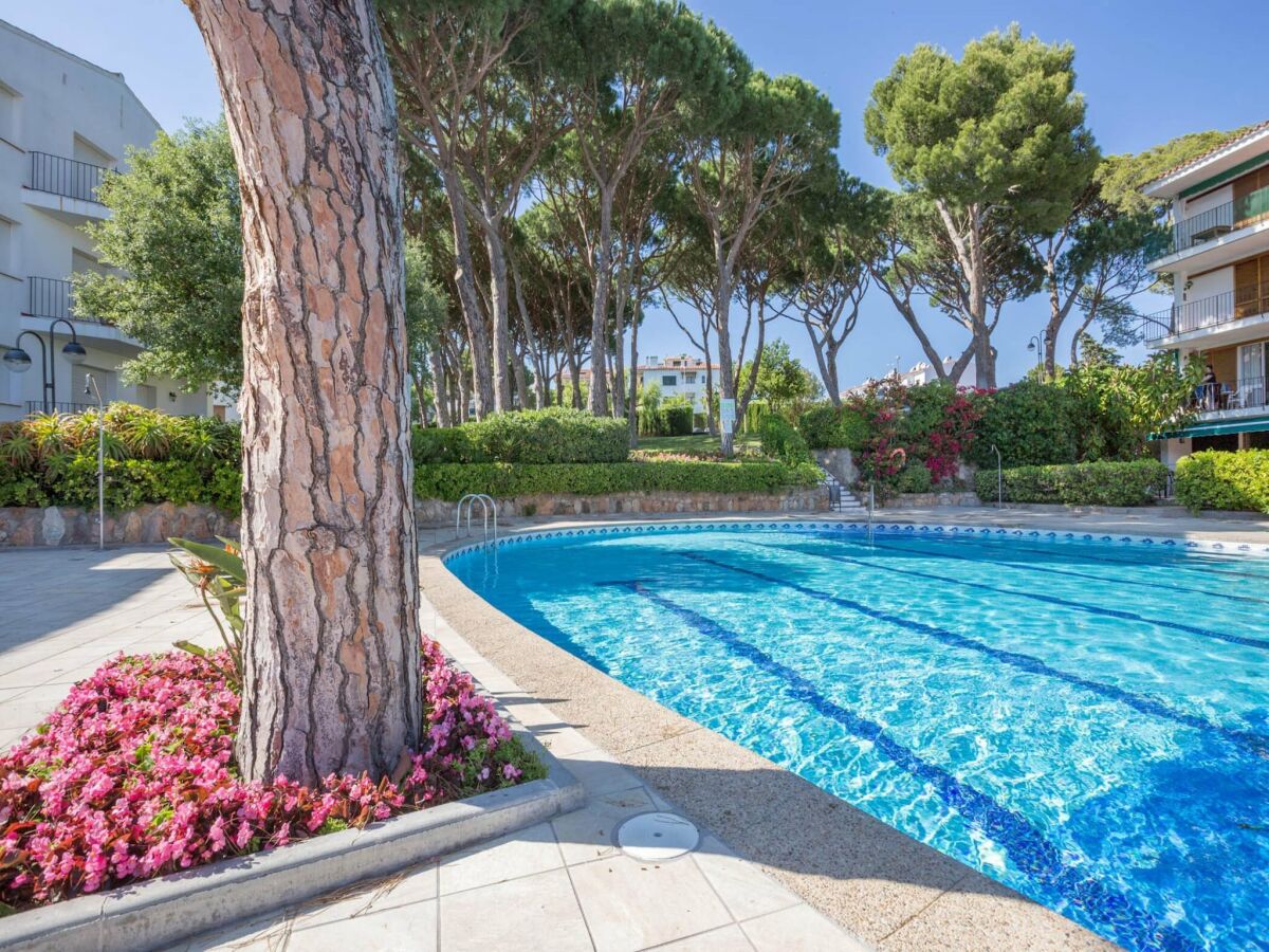 Apartment Wohnung in Spanien nahe Sandstrand - Outdoor photo 5