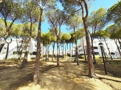 Apartment Apartment in Spain near Beaches & City Center - Outdoor photo 5
