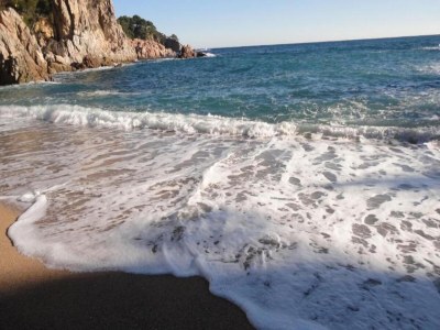 Apartment Apartment in Spain near Sandy Beach - Environment photo 35