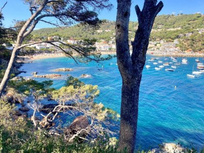 Apartment Apartment in Llafranc by the Sandy Beach - Environment photo 28
