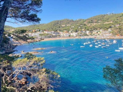 Villa Villa in Llafranc near Sea beach - Environment photo 14