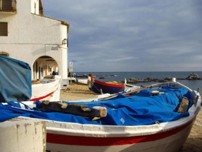 Villa Villa in Llafranc near Sea beach - Environment photo 34
