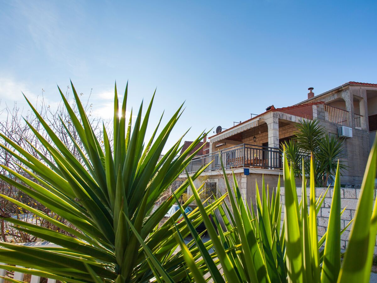 Apartment Four-bedroom apartment with terrace Brna, Korčula A-9188-a - Outdoor photo 3