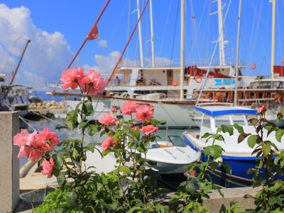 Apartment Studio flat near beach Sumpetar, Omiš AS-18286-a - Outdoor photo 8