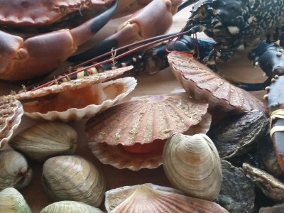 Villa VILLA "A Moi Forban" - Environment photo 37