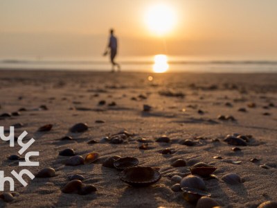 Holiday house Domburg - ZE1594 - Environment photo 28