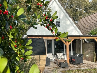 Holiday house Escape to the Beach and Sea in Sint Maartensbrug, Noord-Holland - Holiday house