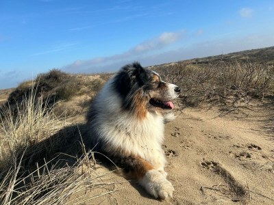 Holiday house Escape to the Beach and Sea - Environment photo 26