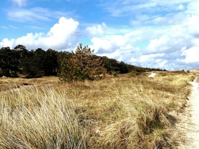 Holiday house Escape to the Beach and Sea - Environment photo 29