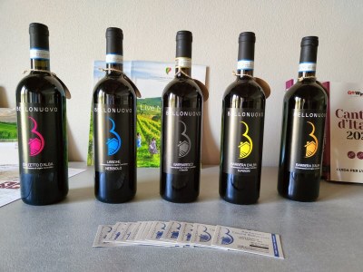 Farmhouse Bellonuovo - Honey Apt. - Environment photo 11