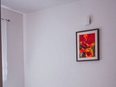 Holiday house Two bedroom house with terrace Orebić, Pelješac K-9482 - Outdoor photo 13