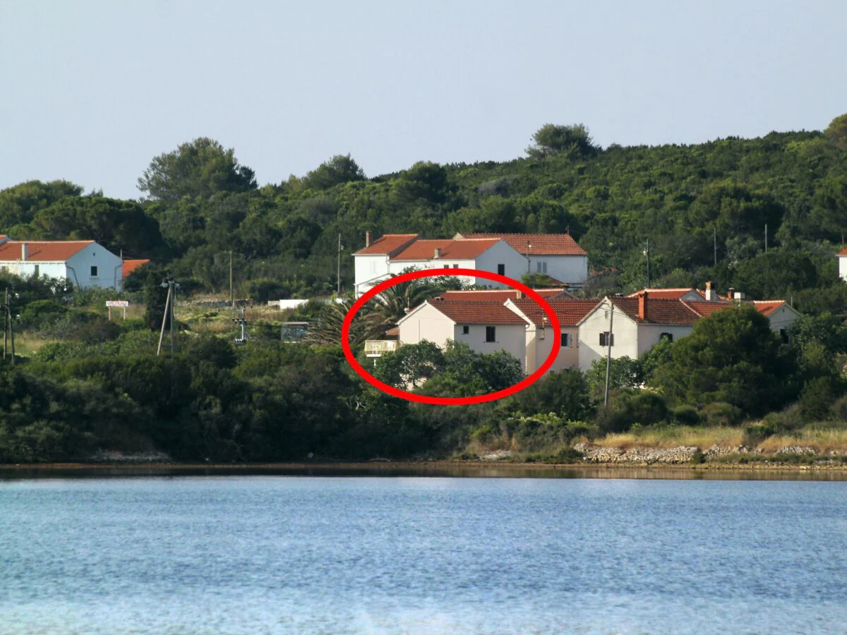 Apartment Two bedroom apartment with terrace and sea view Veli Rat, Dugi otok A-436-a