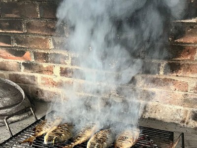 Apartment Two bedroom apartment with terrace and sea view Veli Rat, Dugi otok A-436-a - Outdoor photo 6