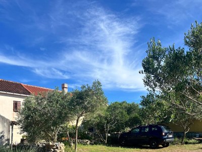 Apartment Studio flat with air-conditioning Veli Rat, Dugi otok AS-436-b - Outdoor photo 7